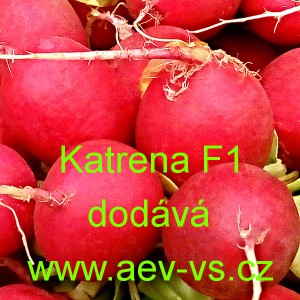 Ředkvička hybridn&iacute; celoročn&iacute; Katrena F1