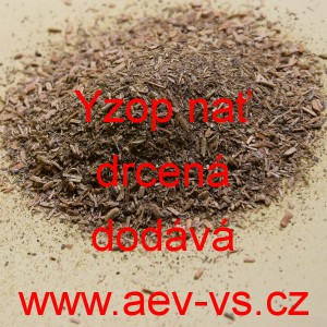 Yzop nať drcen&aacute;