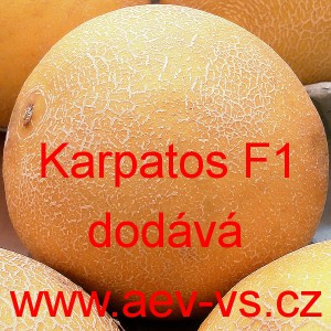 Meloun cukrov&yacute; hybridn&iacute; Karpatos F1 (typ galia)
