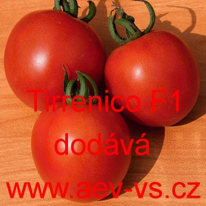 Rajče tyčkov&eacute; hybridn&iacute; Tirrenico F1