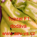 Paprika ročn&iacute; zeleninov&aacute; hybridn&iacute; Topzel F1