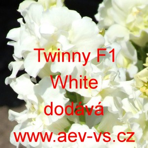 Hled&iacute;k vět&scaron;&iacute; Twinny F1 White
