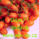 Rajče tyčkov&eacute; hybridn&iacute; Odat F1