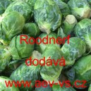 Kapusta růžičkov&aacute; Roodnerf