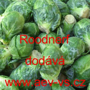 Kapusta růžičkov&aacute; Roodnerf