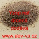 Yzop nať drcen&aacute;