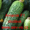 Okurka set&aacute; nakl&aacute;dačka hybridn&iacute; partenokarpick&aacute; Amarok F1