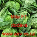 Kapusta hl&aacute;vkov&aacute; hybridn&iacute; Mila F1