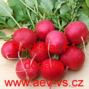 Ředkvička hybridn&iacute; celoročn&iacute; Rockstar F1