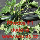 Tykev obecn&aacute; cuketa hybridn&iacute; Rhodos F1
