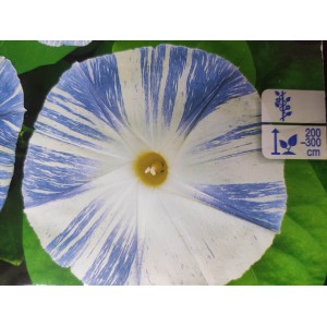 Pov&iacute;jnice trojbarv&aacute; Flying Saucers