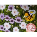 Poblekla modr&aacute; Mix