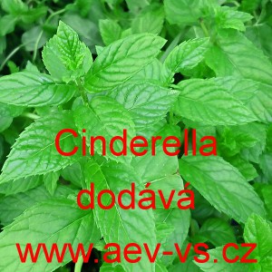 M&aacute;ta peprn&aacute; Cinderella