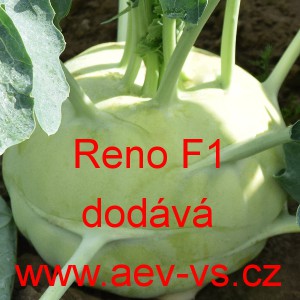 Kedluben b&iacute;l&yacute; hybridn&iacute; Reno F1