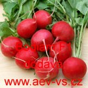 Ředkvička hybridn&iacute; celoročn&iacute; Bodiam F1