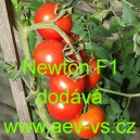 Rajče tyčkov&eacute; hybridn&iacute; Newton F1