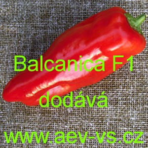 Paprika ročn&iacute; zeleninov&aacute; hybridn&iacute; Balcanica F1