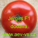 Rajče tyčkov&eacute; hybridn&iacute; Jergus F1