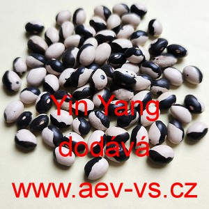 Fazol keř&iacute;čkov&yacute; Yin Yang