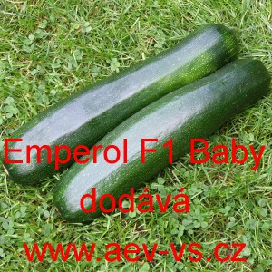 Tykev obecn&aacute; cuketa hybridn&iacute; Emperol F1 Baby