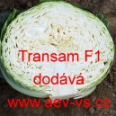 Zel&iacute; hl&aacute;vkov&eacute; b&iacute;l&eacute; hybridn&iacute; Transam F1