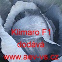 Zel&iacute; hl&aacute;vkov&eacute; červen&eacute; hybridn&iacute; Klimaro F1