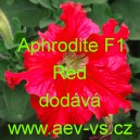Pet&uacute;nie velkokvět&aacute; třepenit&aacute; Aphrodite F1 Red