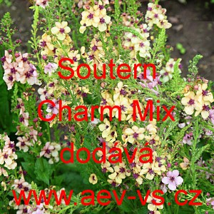 Divizna zkř&iacute;žen&aacute; Southern Charm Mix