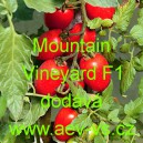 Rajče tyčkov&eacute; hybridn&iacute; Mountain Vineyard F1