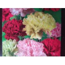 Hvozd&iacute;k karafi&aacute;t Gef&uuml;llte Mix