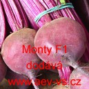Řepa červen&aacute; sal&aacute;tov&aacute; Monty F1