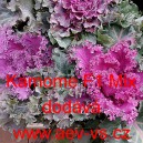 Okrasn&aacute; kapusta, brukev zeln&aacute; Kamome F1 Mix 