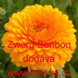 Měs&iacute;ček l&eacute;kařsk&yacute; Bon Bon Mix