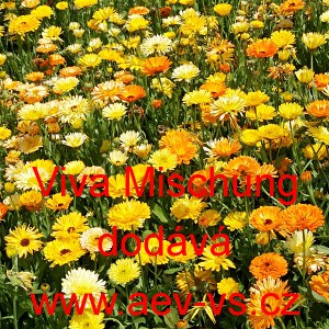 Měs&iacute;ček l&eacute;kařsk&yacute; Viva Mischung