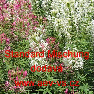 Lu&scaron;těnice trnit&aacute; Colour Fountain Pro Mixed