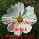 Kr&aacute;senka zpeřen&aacute; Sonata White