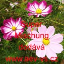 Kr&aacute;senka zpeřen&aacute; Super Mischung