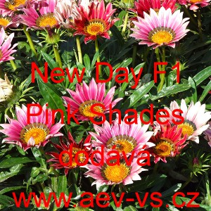 &Uacute;borovka z&aacute;řiv&aacute;, gaz&aacute;nie New Day F1 Pink Shades