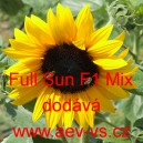 Slunečnice ročn&iacute; Full Sun F1 Mix