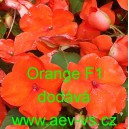 Net&yacute;kavka tureck&aacute;, sult&aacute;nsk&aacute;, ančička, sult&aacute;nka nebo i piln&aacute; l&iacute;zinka Orange F1