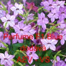 Tab&aacute;k Sandeřin, Sanderův Perfume F1 Blue