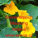 Lichořeři&scaron;nice vět&scaron;&iacute;, kapuc&iacute;nka Sonnenteppich Mischung