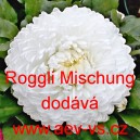 Sedmikr&aacute;ska obecn&aacute; Roggli Mischung