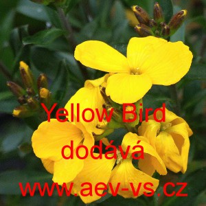 Tr&yacute;zel zvrhl&yacute; Yellow Bird