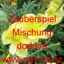 M&aacute;k nahoprut&yacute;, hol&yacute;, lys&yacute;, islandsk&yacute; Zauberspiel Mischung