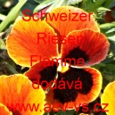 Mace&scaron;ka zahradn&iacute; Schweizer Riesen Flamme