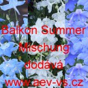 Ostrožka velkokvět&aacute;, č&iacute;nsk&aacute; Balkon Summer Mischung