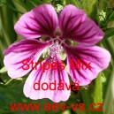 Sl&eacute;z lesn&iacute; Stripes Mix