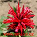 Zavinutka podvojn&aacute; Panorama Mix