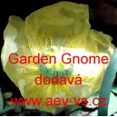 M&aacute;k lys&yacute;, nahoprut&yacute;, islandsk&yacute; Garden Gnome